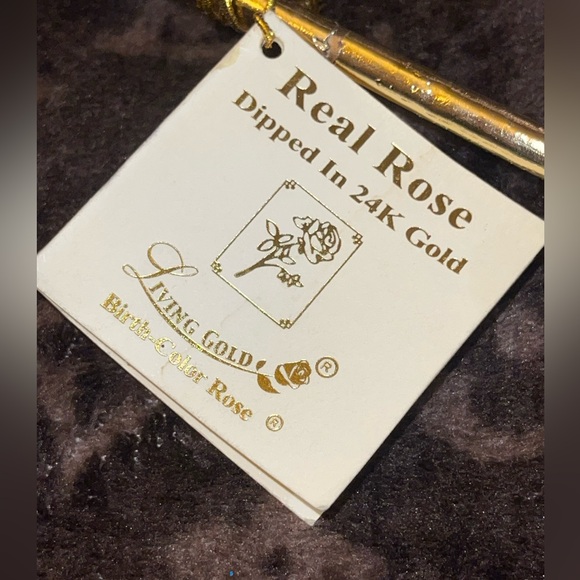 Living Gold Vintage Real Rose dipped in 24k gold - Picture 4 of 6